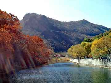 新澳门二四六天天开奖，氢氧化钾价格